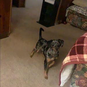 Meet your Posher, Roberto